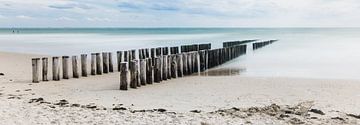 groynes at zoutelande  by rob creemers