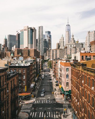 Chinatown met Lower Manhatten op de achtergrond