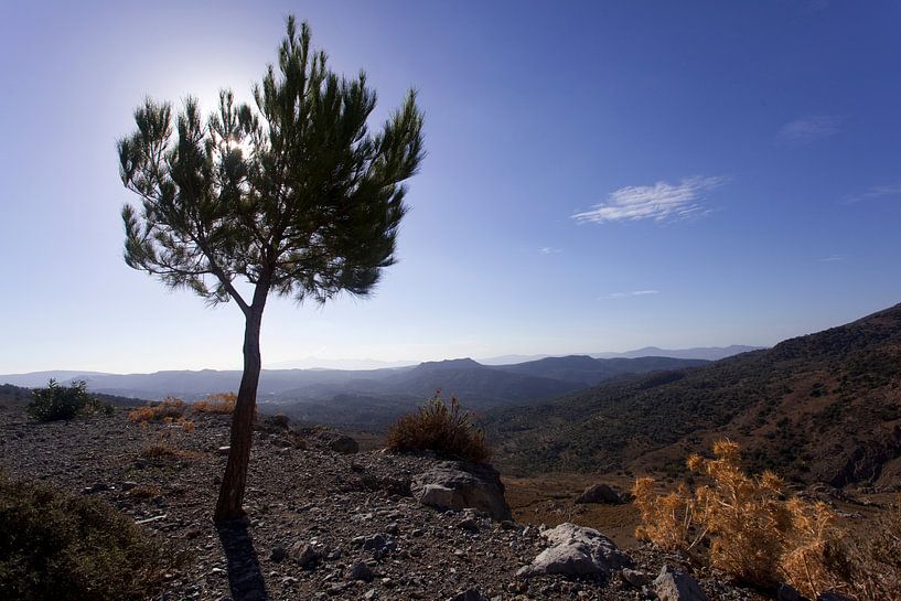 Landschaft auf Kreta, Griechenland von Coos Photography