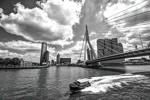 Taxi nautique au pont Erasmus à Rotterdam