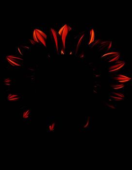 Ember Sun XIV