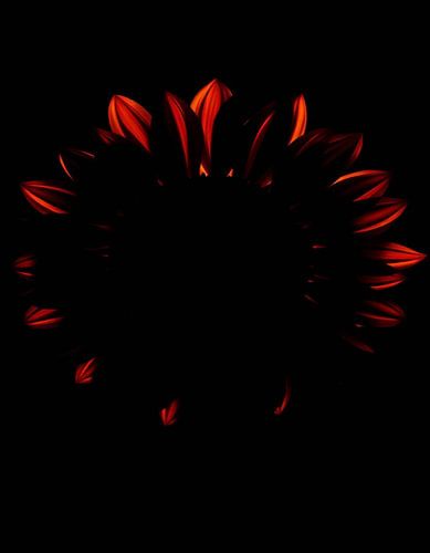 Ember Sun XlV