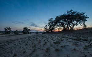 Blauw uurtje van Danny Slijfer Natuurfotografie