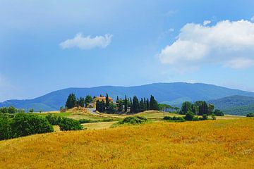 Toscane countrysite van Harry Hadders
