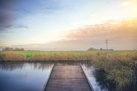 Jetty With Polder View