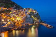 Manarola by Night - Cinque Terre, Italië - 2 van Tux Photography thumbnail