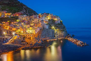 Manarola by Night - Cinque Terre, Italië - 2
