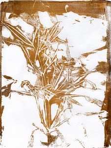 Gouden Bamboe. Botanische illustratie in vintage stijl. Monotype. van Dina Dankers
