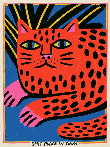De kat heeft de beste plek van de stad – bij jou