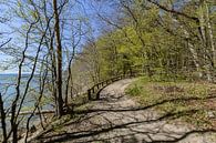 Rad- Wanderweg  entlang am Naturstrand in der Goor von GH Foto & Artdesign Miniaturansicht
