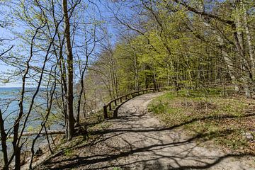 Piste cyclable et sentier de promenade le long de la plage naturelle du Goor sur GH Foto & Artdesign