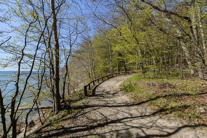 Rad- Wanderweg  entlang am Naturstrand in der Goor von GH Foto & Artdesign