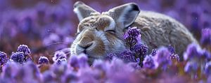 Lila Blumenbeet