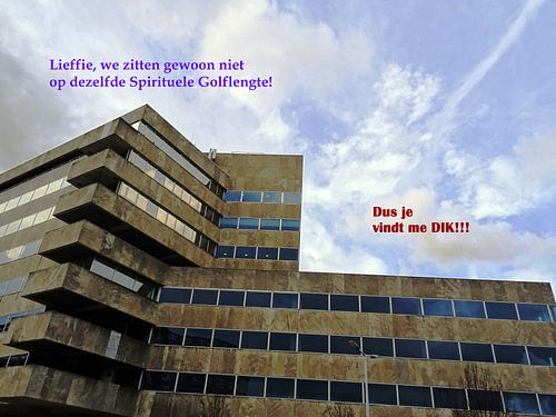 Small Talk: Dus Je Vindt Me Dik!