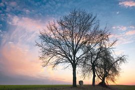 Farbenspiel von Max Schiefele