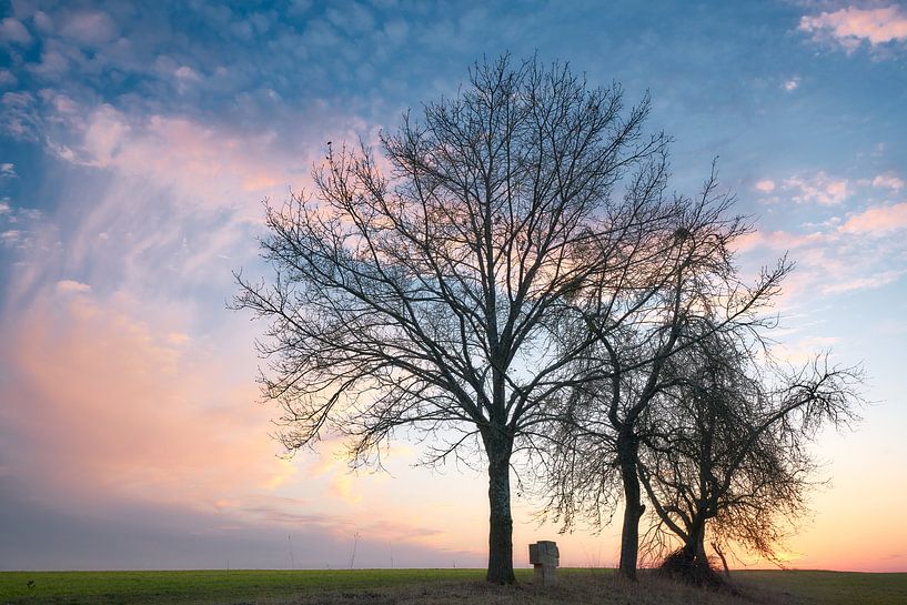 Play of colors by Max Schiefele
