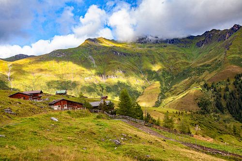 Die Gadauner Hochalm