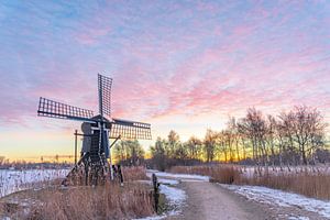Himriksmole De Groene Ster, Tytsjerk