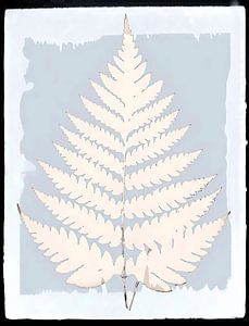 Japanischer Farn Grau Blau Beige