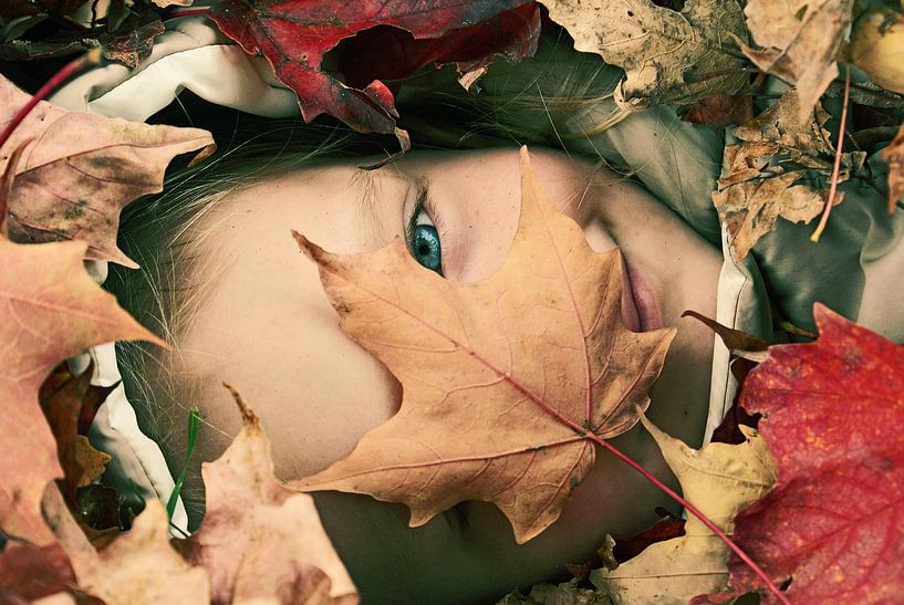 Camouflage by Aimelle ML