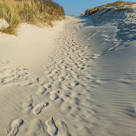 Pad door de duinen op Langeoog van Friedhelm Peters
