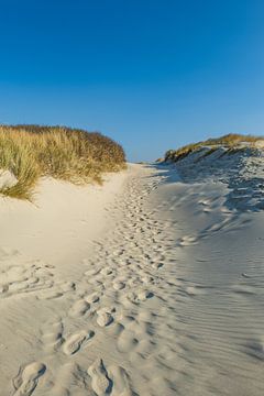 Pad door de duinen op Langeoog van Friedhelm Peters