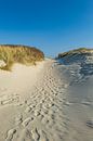 Pad door de duinen op Langeoog van Friedhelm Peters thumbnail