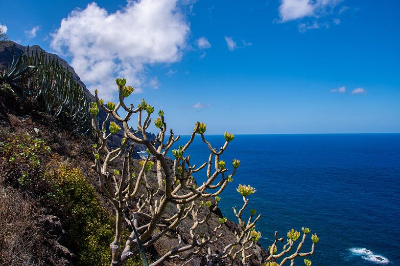 Uitzicht op zee aan de noordkust van Tenerife van David Esser