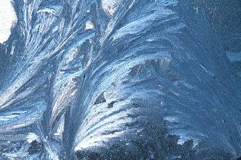 Eisblumen an der Fensterscheibe