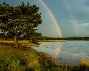 Onder een dubbele regenboog van Nando Harmsen