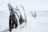 Out in the Sea