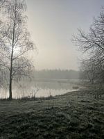 Lac brumeux