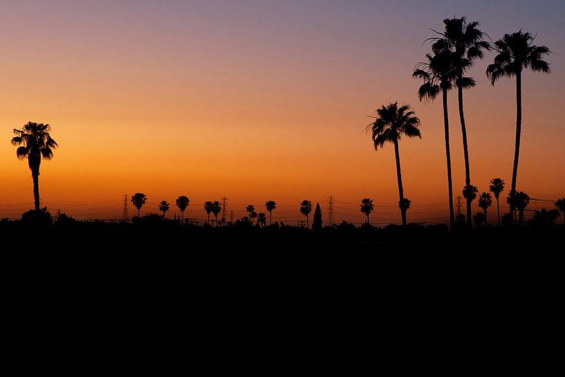 California Love by Charlona Teerlink