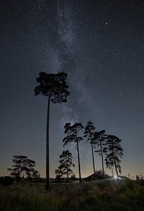 Galaxie sur la Veluwe sur Jeroen Linnenkamp