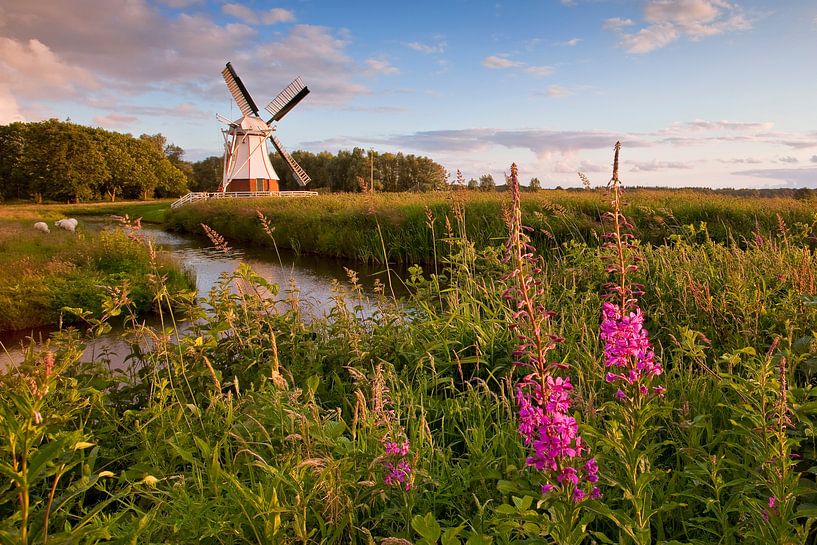 Windmühle, Niederlande von Peter Bolman