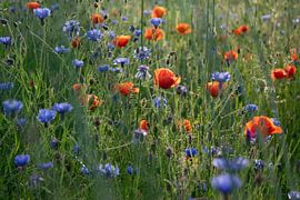 Blumenreich von Kimfaesdesign
