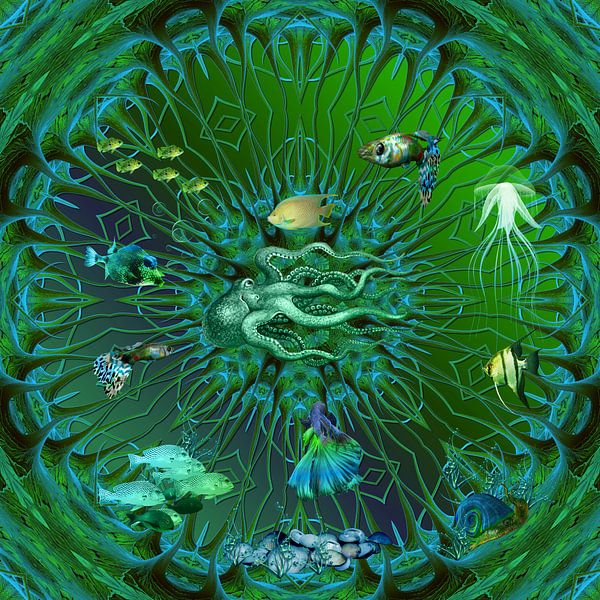 Unterwasserwelt von Carla van Zomeren