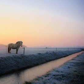 Texel-Landschaft 008 von Starworks:  LinaLena van der Star