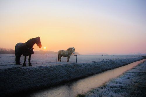 Texel-Landschaft 008 von Starworks:  LinaLena van der Star
