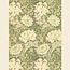 William Morris