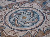 Romeins mozaïek van Martijn Joosse thumbnail