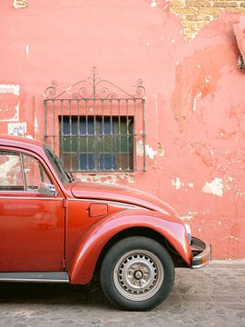 Retro-Rotkäfer in Oaxaca Mexiko von Raisa Zwart Reisefotografiedrucke