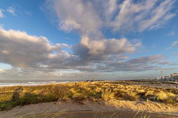 Dünen von Noordwijk von Yanuschka Fotografie | Noordwijk