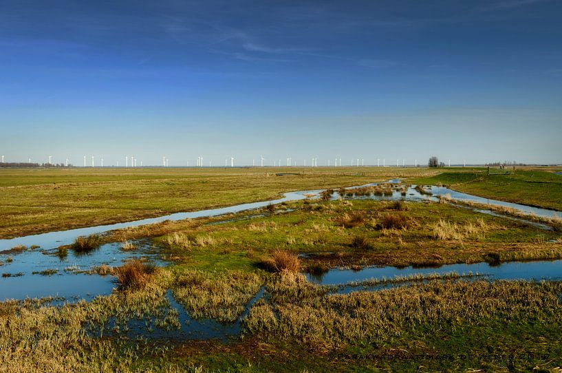 Nederlands Landschap: Eempolder van Mark de Weger