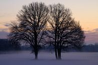 Winter feelings van Marcel van Rijn thumbnail