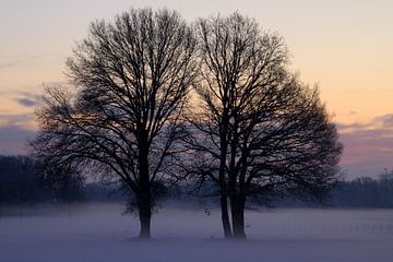 Winter feelings van Marcel van Rijn