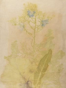 Ecoprint van wilde planten collage