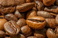 Roasted coffee beans by Dafne Vos thumbnail