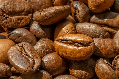Roasted coffee beans