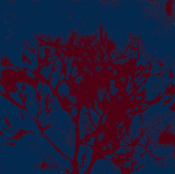 Abstrakte botanische Kunst. Organische Formen in dunklem Kobaltblau und warmem Braun. von Dina Dankers